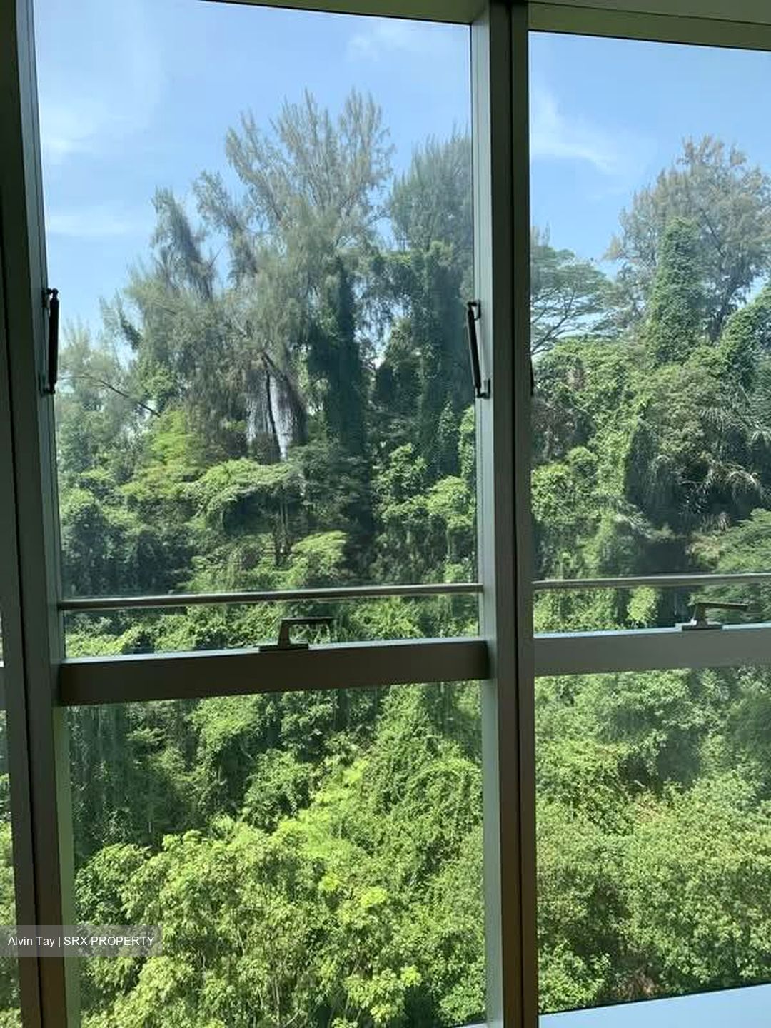Reflections At Keppel Bay (D4), Condominium #582916561